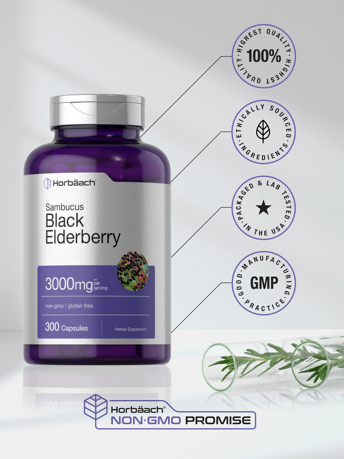 Black Elderberry Capsules 3000Mg | 300 Count | Sambucus | Non-Gmo | by Horbaach
