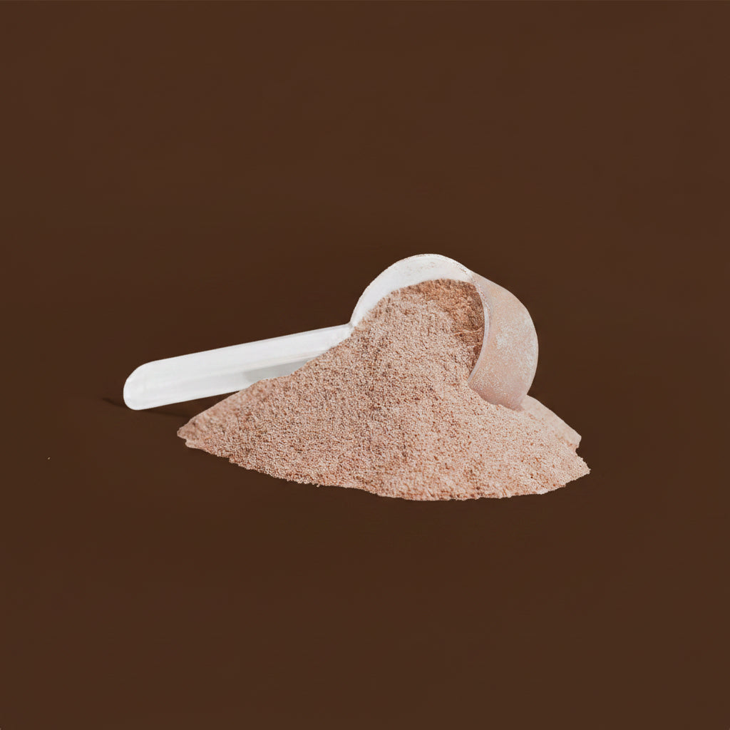 Grass-Fed Collagen Peptides Powder (Chocolate)