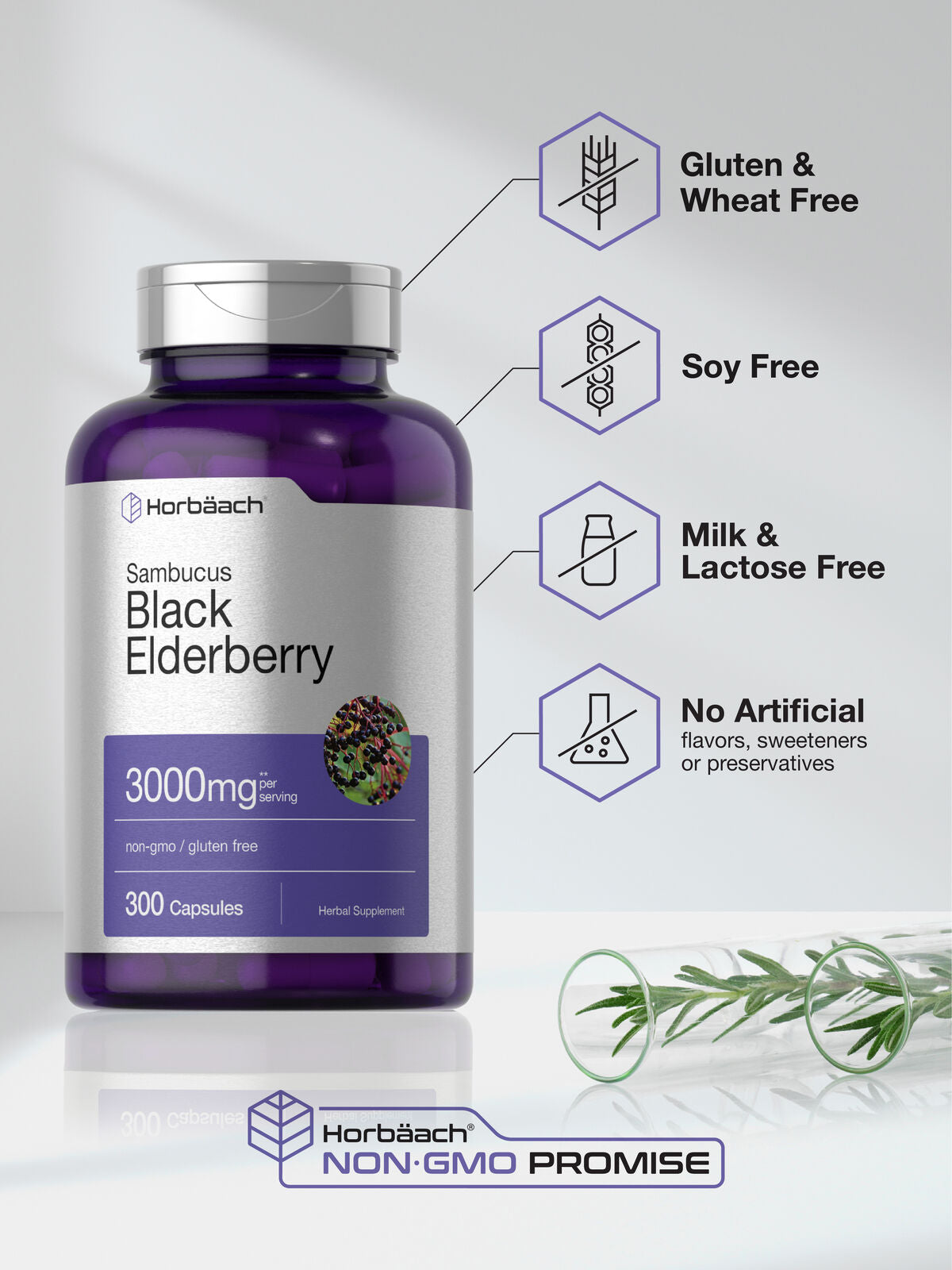 Black Elderberry Capsules 3000Mg | 300 Count | Sambucus | Non-Gmo | by Horbaach